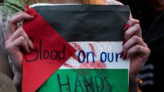 Demonstrace na podporu Palestiny
