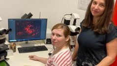 Tereza Váňová a Dáša Bohačiaková pod mikroskopem zkoumají plaky v minimozečcích, které jsou projevem Alzheimerovy choroby