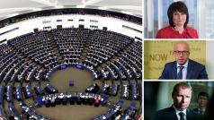 Volby do Evropského parlamentu se v Česku mají uskutečnit 24. a 25. května 2019. Prezident ještě musí termín vyhlásit