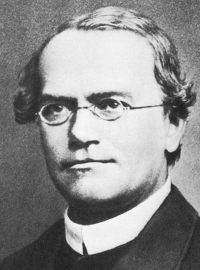 Biolog, matematik a katolický kněz Gregor Johann Mendel