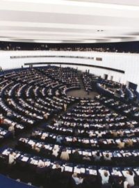 V současnosti má Evropský parlament 785 členů ze všech 27 zemí EU. Třetinu tvoří ženy.