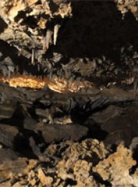 Jeskyně v Mikulově Na Turoldu