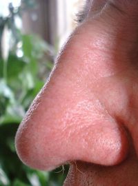 Lidský nos