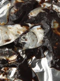 Mrtvé ryby, které zabila ropa unikající z vrtu v Mexickém zálivu