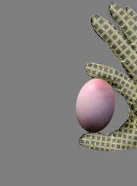 Umělá kůže složená z matice nanodrátků v představě výtvarníka