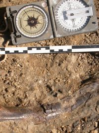 Vykopávky odhalily více než 400 kostí, které patří nejméně třem druhům dinosaurů