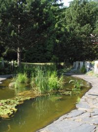 Botanická zahrada v Oloumouci