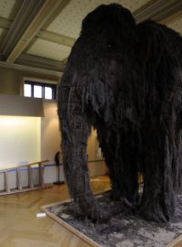 Model mamuta v Národním muzeu
