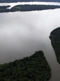 Brazilská Amazonie (ilustrační foto)