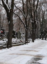 Hřbitov (ilustr. foto)