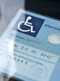Invalida, vozíčkář, tělesně postižený (ilustrační foto)