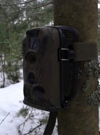 Fotopast v královéhradeckých lesích