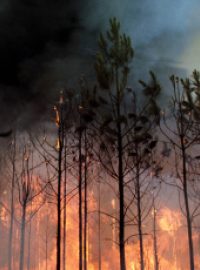 Lesní požár. Ilustrační foto