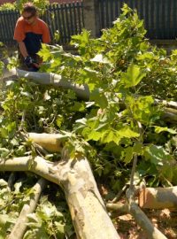 V Praze po včerejší bouřce stále odstraňují popadané stromy