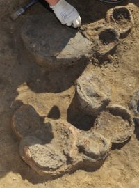Archeologové objevili nedaleko obce Trnávka na Lipensku žárové pohřebiště z pozdní doby halštatské