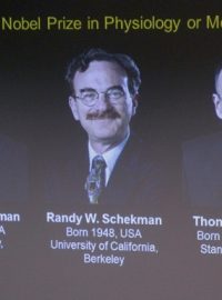 Trojice laureátů letošní Nobelovy ceny za fyziologii a lékařství
