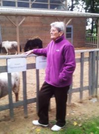 Klienti terezínského domova na Krétě si přítomnost poníků pochvalují