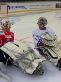 Čeští sledge hokejisté při přípravě na mistrovství světa