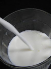 Mléko (ilustr. obr.)