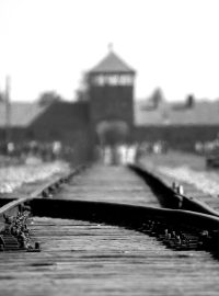 Za popírání holocaustu musí politik navštívit koncentrační tábory
