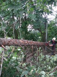 Moravskoslezští hasiči odklízejí popadané stromy