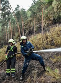 Podle prvotních informací požár u obce Branžež na Mladoboleslavsku v začátku zasáhl plochu asi 250 krát 150 metrů
