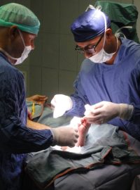 Českým lékařům asistují syrští a jordánští zdravotníci