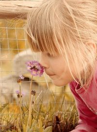 Dívka vonící ke květině
