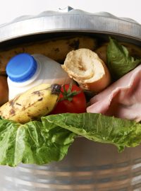 jídlo v popelnici, odpad, food waste