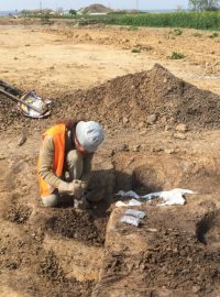 Archeologové pracují nedaleko Horusic u Veselí nad Lužnicí, na místě, kde vyroste dálnice D3