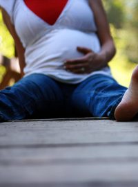 Mateřství - těhotenství