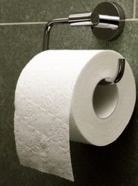 Toaletní papír (ilustrační).