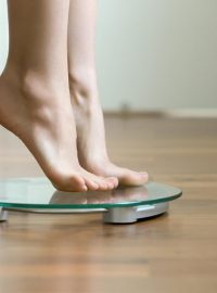 Udržování hmotnosti
