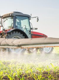 Postřik pesticidy (ilustrační foto)