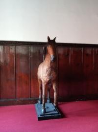 Vycpaný Valdštejnův kůň