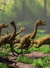 Velociraptor, dinosaurus, dinosauři