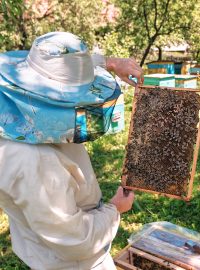 Včelař a jeho včely