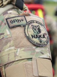 Národní kriminální agentura na Slovensku (NAKA)