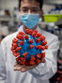 Model koronaviru v pekingské laboratoři