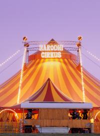 Cirkus (ilustrační foto)