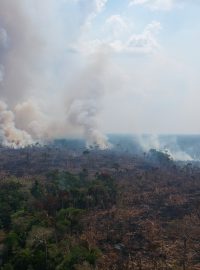 Odlesňování amazonského pralesa v Brazílii. Snímek je z 18. srpna 2021