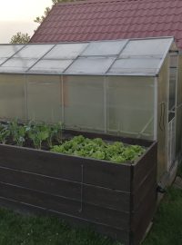 Rodina má také svůj skleník a zeleninový záhon