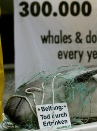 Mrtvá chráněná sviňucha na demonstraci Greenpeace, která se konala 19. června v Berlíně