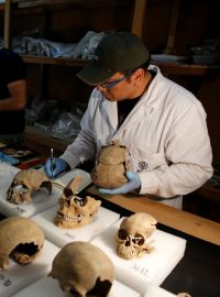 Archeologové pečlivě zkoumají každou nalezenou lebku