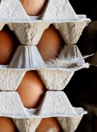 Uskladněná vejce na farmě v Nizozemsku