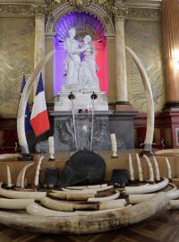 Slonovina, kterou ve francouzském Nice úřady zničily