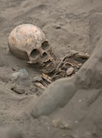 Jedna z dříve nalezených koster v oblasti Pampa la Cruz. (archivní foto)