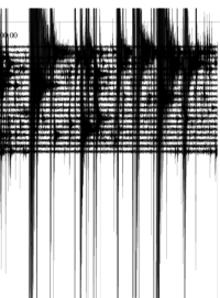 Záznam seismografické stanie v Lubech u Chebu v pondělí dopoledne.