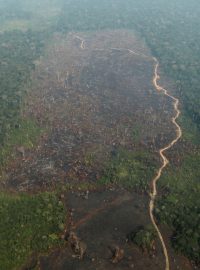 Za větší počet požárů může podle expertů nejen sucho či klimatické změny, ale i ilegální kácení a vypalování lesa za účelem získání zemědělské půdy