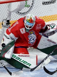 Brankář české hokejové reprezentace Roman Will